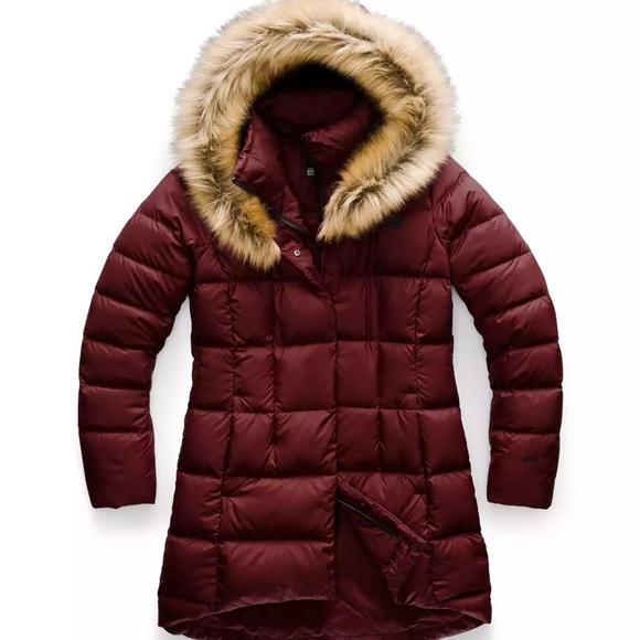 The North Face Jackets & Blazers - North Face Puffer Jacket with Hood